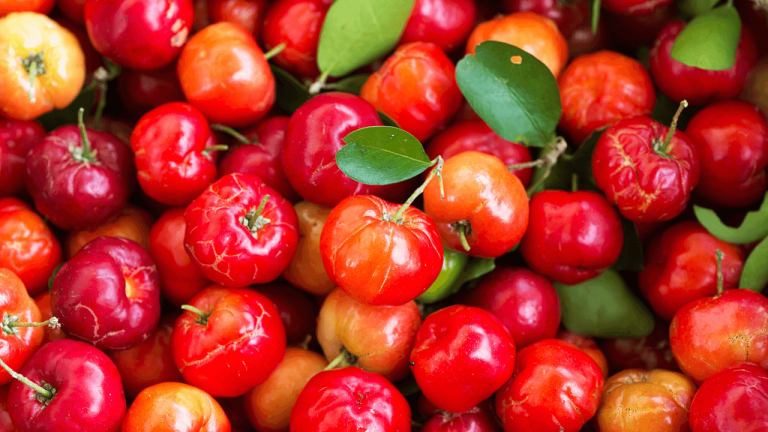 Acerola3