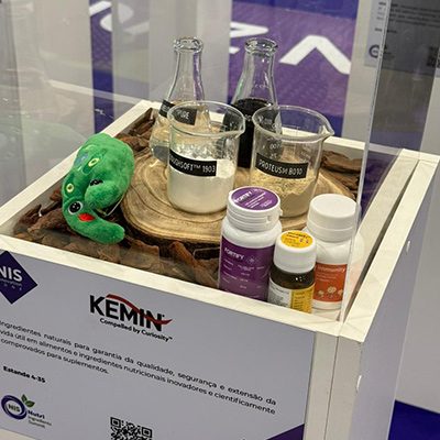 kemin